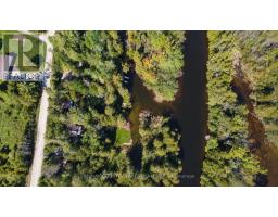 77 Mcguire Beach Road, Kawartha Lakes, ON K0M2B0 Photo 28