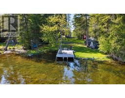 77 Mcguire Beach Road, Kawartha Lakes, ON K0M2B0 Photo 29