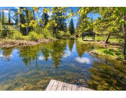 77 Mcguire Beach Road, Kawartha Lakes, ON K0M2B0 Photo 38