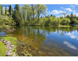 77 Mcguire Beach Road, Kawartha Lakes, ON K0M2B0 Photo 39