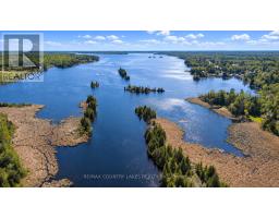 77 Mcguire Beach Road, Kawartha Lakes, ON K0M2B0 Photo 41
