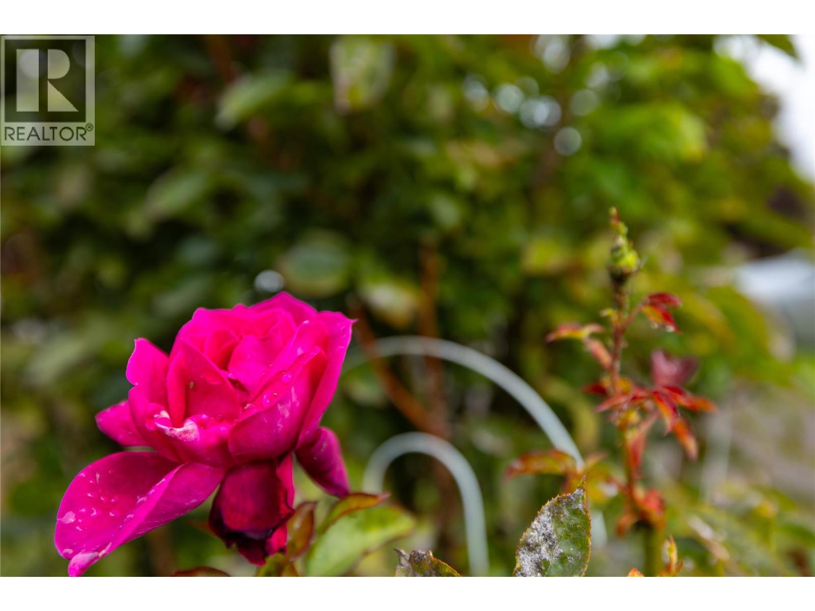4204 27 Avenue, Vernon