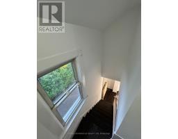 37 Clarence Street, Brampton, ON L6W1S2 Photo 17
