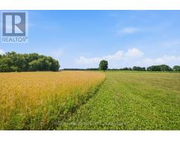 392 German School Road, Brant, ON N3L3E1 Photo 43