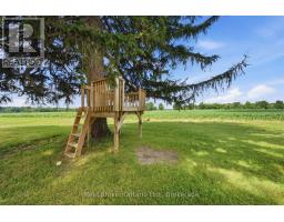 392 German School Road, Brant, ON N3L3E1 Photo 44