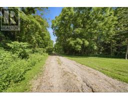 392 German School Road, Brant, ON N3L3E1 Photo 46