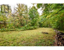 56 Mcarthur Drive, Penetanguishene, ON L9M1W9 Photo 17