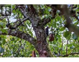 10842 Grandview Rd, Saltair, BC V0R1E0 Photo 60