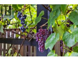 10842 Grandview Rd, Saltair, BC V0R1E0 Photo 61