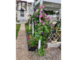 77 9 Street Ne, Medicine Hat, AB T1A5S1 Photo 26