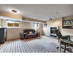 17832 93 St Nw, Edmonton, AB T5Z2H7 Photo 22