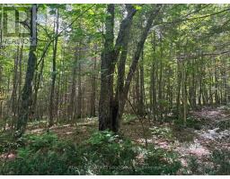 650 Widdifield Station Road, North Bay, ON P1B8G2 Photo 45