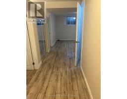 Bsmt - 169 Willowbrook Road, Markham, ON L3T5L5 Photo 6
