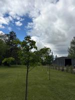 102147 68n Road, Forrest, MB R0K1C0 Photo 34