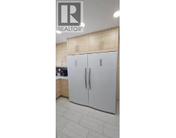 227 Louisa Street, Kitchener, ON N2H5M6 Photo 19