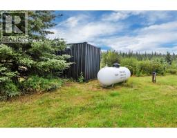 213 Misty Valley Close, Rural Clearwater County, AB T0M2H0 Photo 42