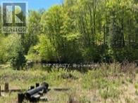 1703 MATAWATCHAN ROAD - 33