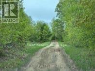 1703 MATAWATCHAN ROAD - 38
