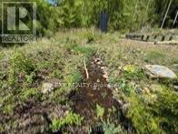 1703 Matawatchan Road, North Frontenac, ON K0J2R0 Photo 26