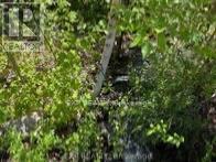 1703 Matawatchan Road, North Frontenac, ON K0J2R0 Photo 27