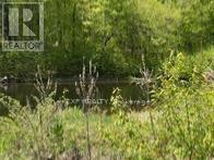1703 Matawatchan Road, North Frontenac, ON K0J2R0 Photo 28