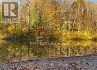 1703 Matawatchan Road, North Frontenac, ON K0J2R0 Photo 36