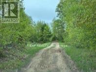 1703 Matawatchan Road, North Frontenac, ON K0J2R0 Photo 38