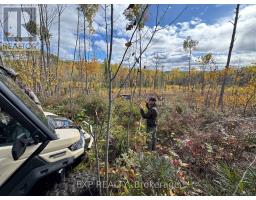 1703 Matawatchan Road, North Frontenac, ON K0J2R0 Photo 7
