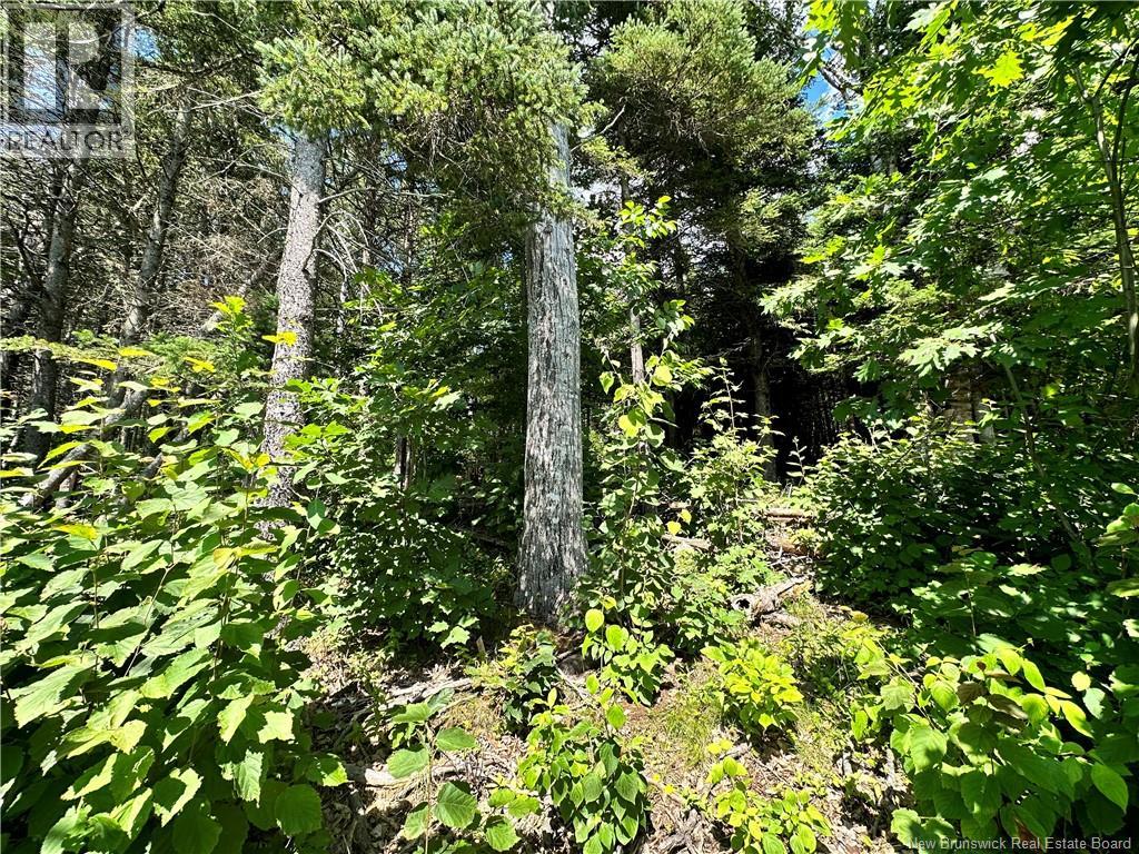 Lot Route 105 photo 4