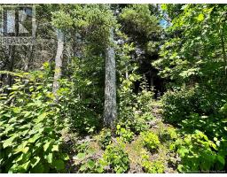 Lot Route 105, photo 4