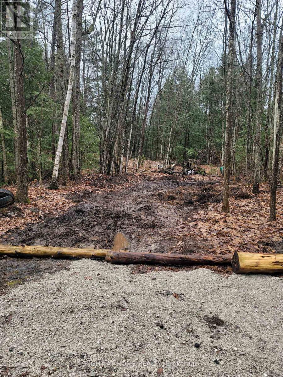 LT 17 LAIDLAW Avenue, Gravenhurst), ON photo 8