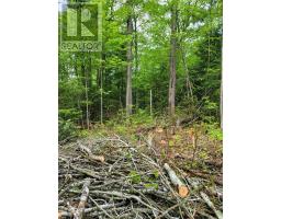 Lt 17 Laidlaw Avenue, Gravenhurst), ON P1P1J4 Photo 13