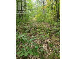 Lt 17 Laidlaw Avenue, Gravenhurst), ON P1P1J4 Photo 6