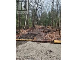 Lt 17 Laidlaw Avenue, Gravenhurst), ON P1P1J4 Photo 8