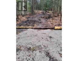 Lt 17 Laidlaw Avenue, Gravenhurst), ON P1P1J4 Photo 9