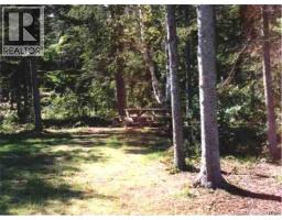 Laundry room - 1310 Route 505, Sainte Anne De Kent, NB E4S1L1 Photo 12