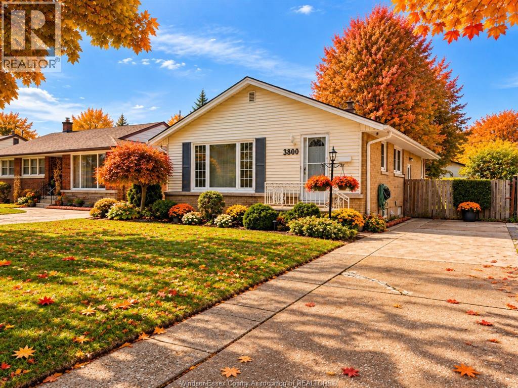3800 ROSEMOUNT AVENUE - 1
