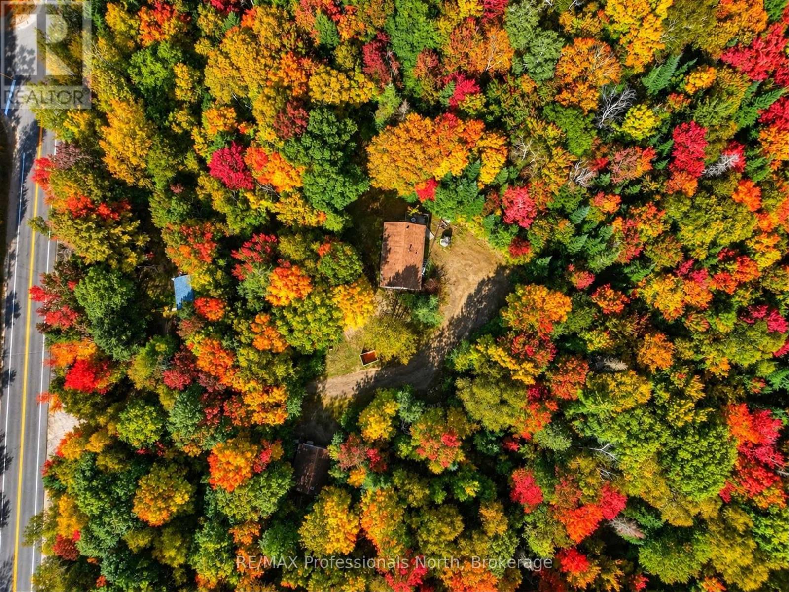 5110 MUSKOKA 117 ROAD - 2