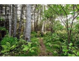 21 Nancy Lane, Lawrencetown, NS B2Z0A1 Photo 38