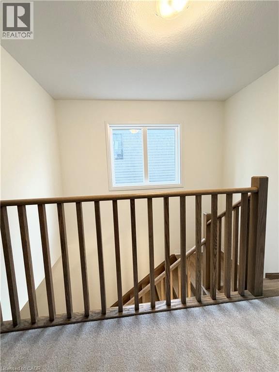12 Scotch Thistle Lane — photo 33