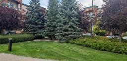 2204 1265 Leila Avenue, Winnipeg, MB R2P0G3 Photo 9