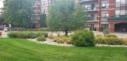 2204 1265 Leila Avenue, Winnipeg, MB R2P0G3 Photo 11