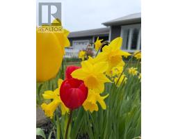 153 Main Road thumbnail 35