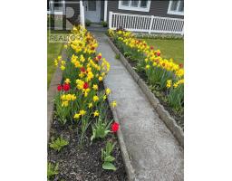 153 Main Road thumbnail 36