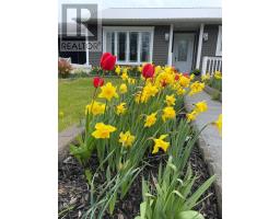 153 Main Road thumbnail 37