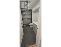 Basement - 82 Madawaska Avenue, Toronto, ON M2M2R3 Photo 7