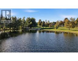 675446 Hurontario Street, Mono, ON L9V0Z9 Photo 43
