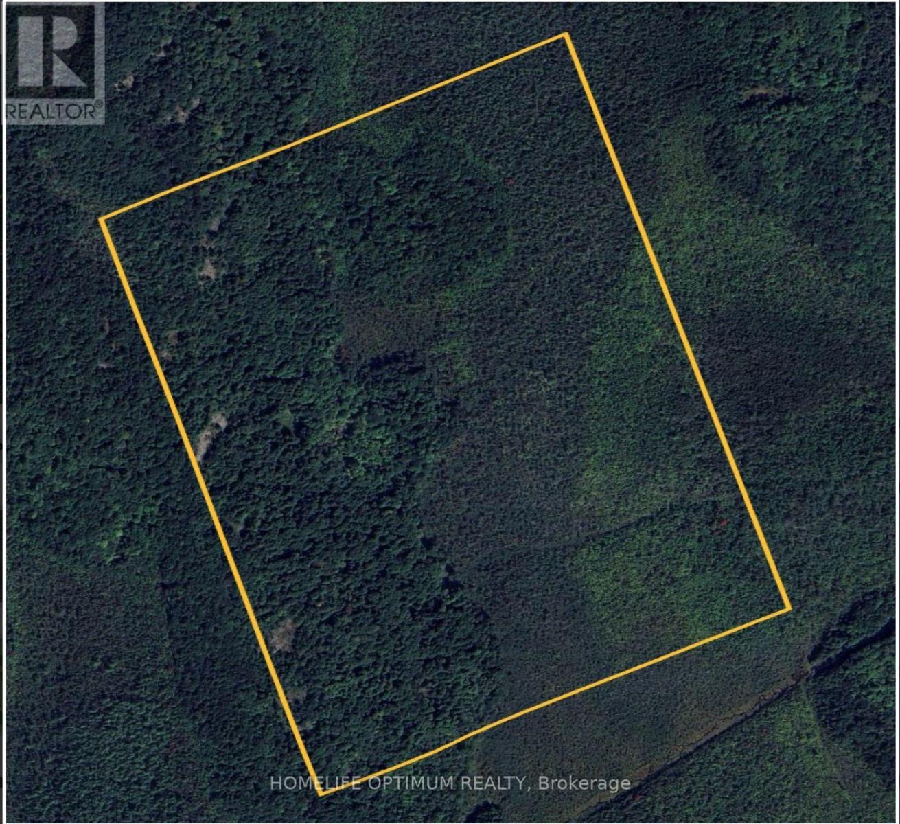 LT 22 CON 3 & LT 21 CON 3, Muskoka Lakes, ON photo 11