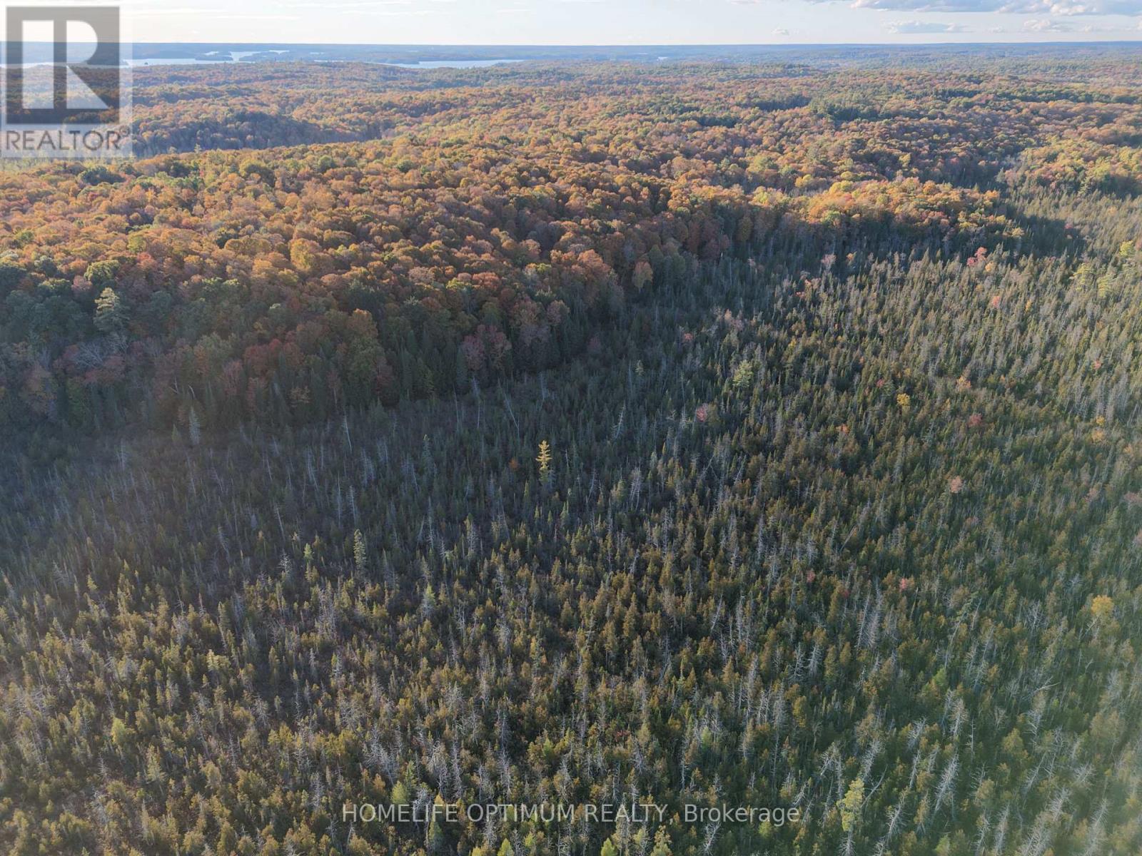 LT 22 CON 3 & LT 21 CON 3, Muskoka Lakes, ON photo 16
