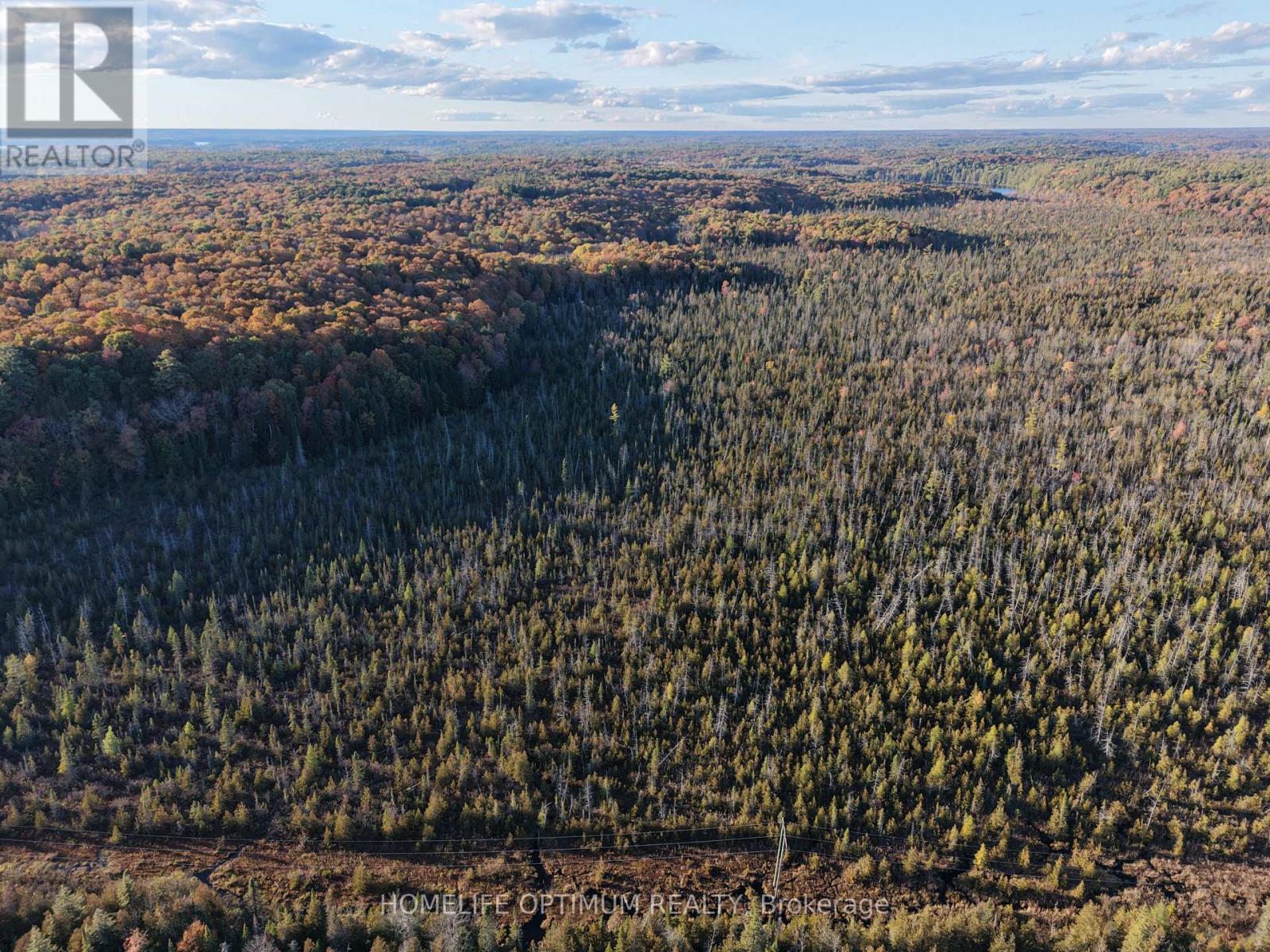 LT 22 CON 3 & LT 21 CON 3, Muskoka Lakes, ON photo 17
